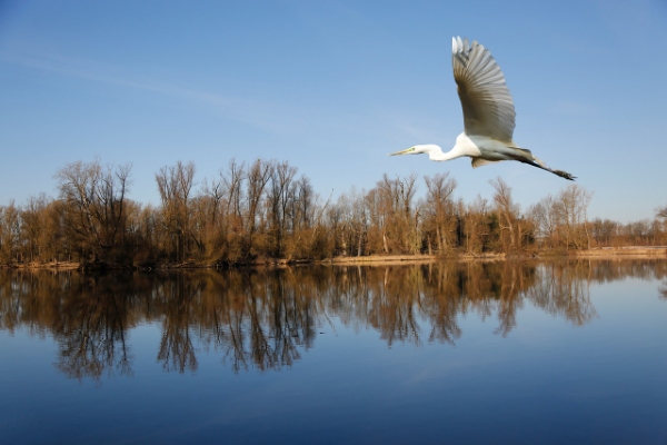 bird sanctuary list in india